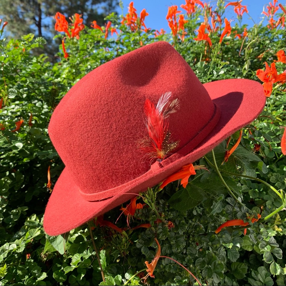 wide brim feathered fedora